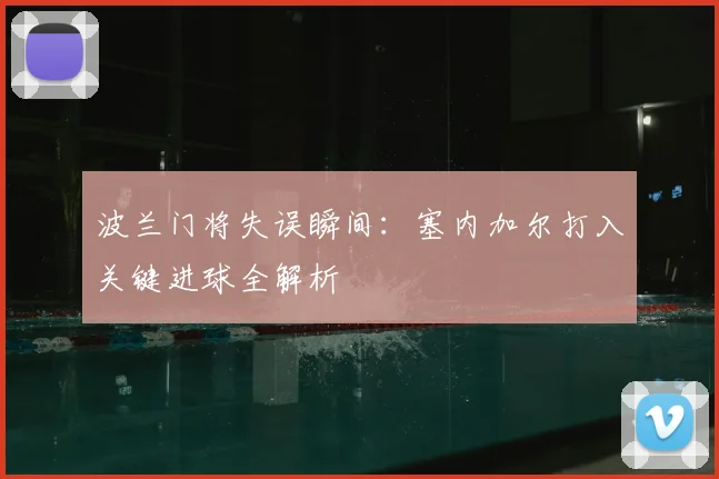 波兰门将失误瞬间:塞内加尔打入关键进球全解析