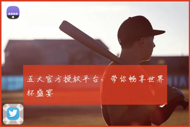 五大官方授权平台,带你畅享世界杯盛宴
