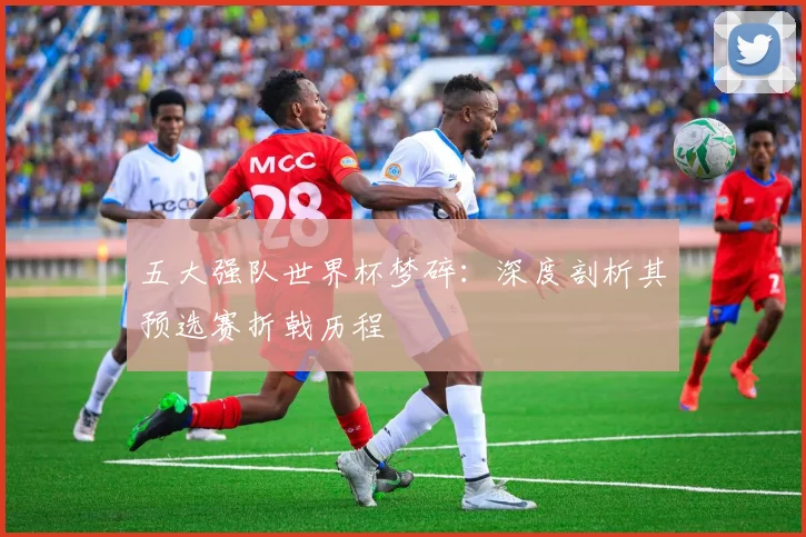 五大强队世界杯梦碎：深度剖析其预选赛折戟历程