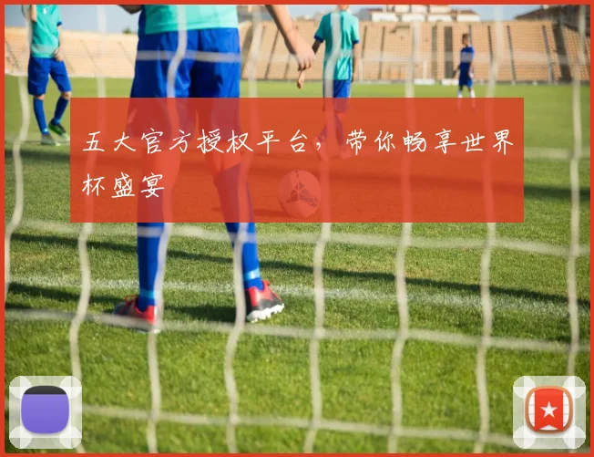 五大官方授权平台，带你畅享世界杯盛宴