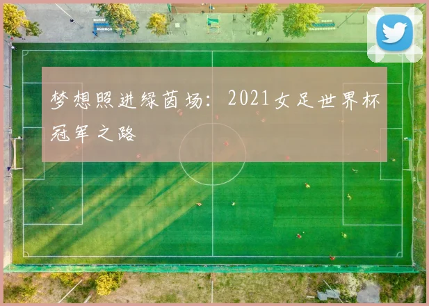 梦想照进绿茵场:2021女足世界杯冠军之路