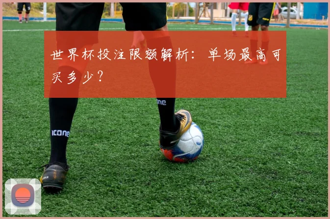 世界杯投注限额解析:单场最高可买多少?